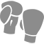 sports-equipment-boxing-gloves