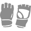 sports-equipment-mma