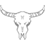 animal skull1