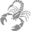 zodiac-sign-scorpio