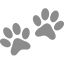 paws2
